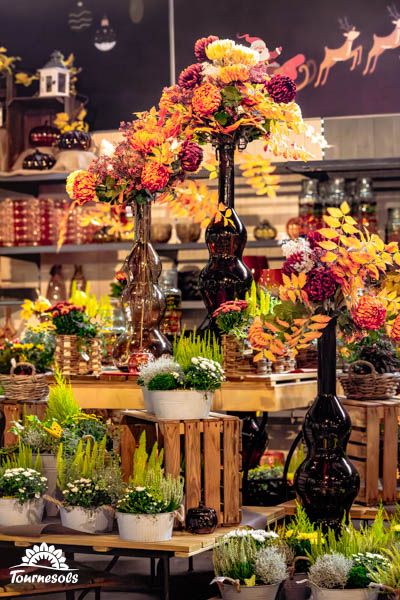 Compositions florales colorées avec des roses, des tulipes et des marguerites pour la décoration intérieure